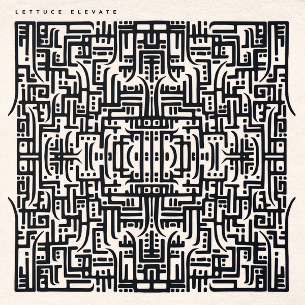 Lettuce — Elevate